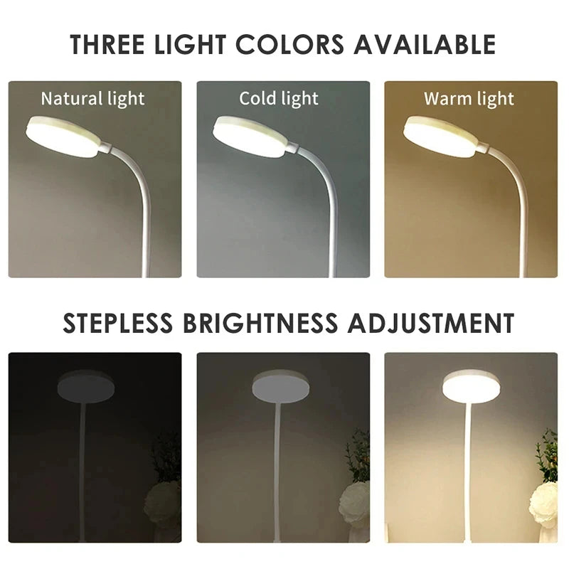 Portable LED desk lamp with eye protection, 3 brightness settings, and touch-activated USB charging