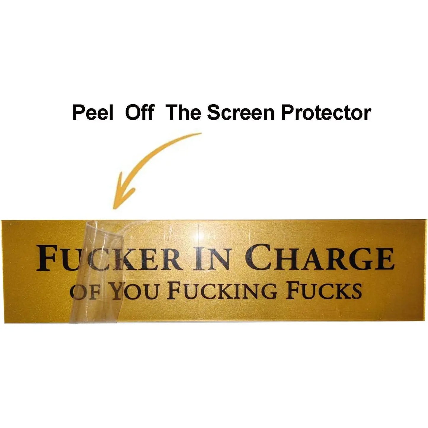 Fucker in Charge Desk Nameplate Sign  