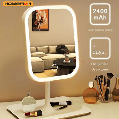 Niche Modern LED Makeup Mirror with Touch Control and Three Color Lighting for Bedroom Vanity Use